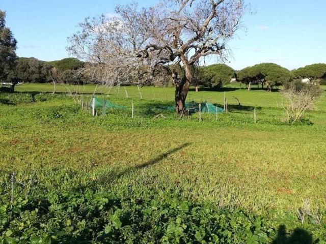 Vivienda exclusiva de 135 m2 en venta Vejer de la Frontera, España