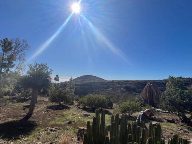 Vivienda exclusiva de 140 m2 en venta Ingenio, Canarias