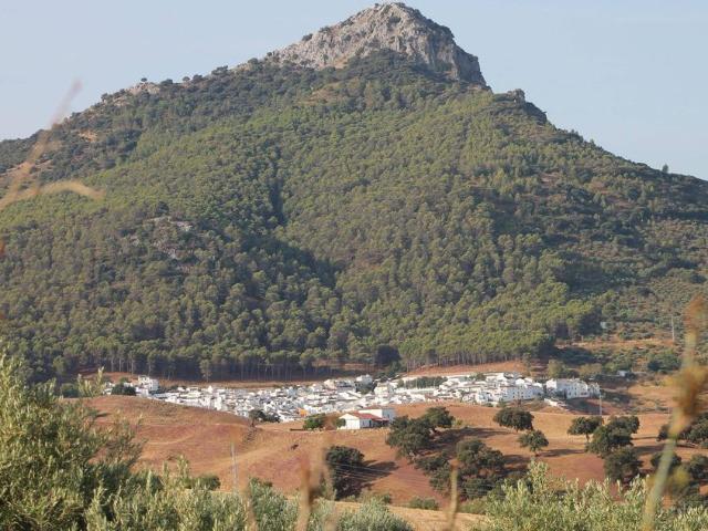 Vivienda exclusiva de 310 m2 en venta El Gastor, España