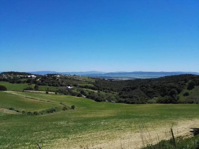 Vivienda exclusiva de 90 m2 en venta Vejer de la Frontera, Andalucía