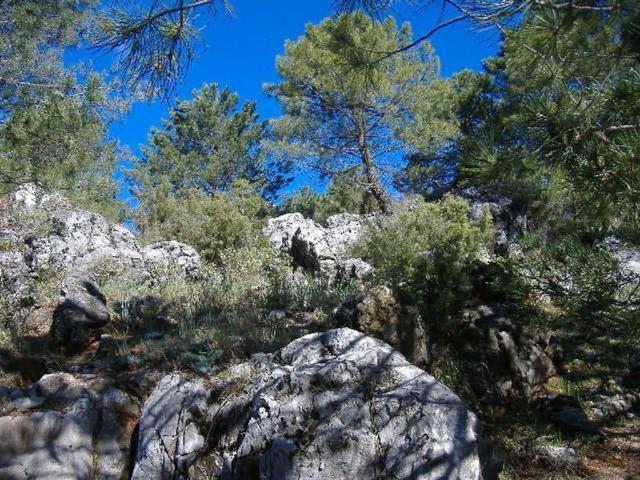 Vivienda exclusiva en venta Iznatoraf, España