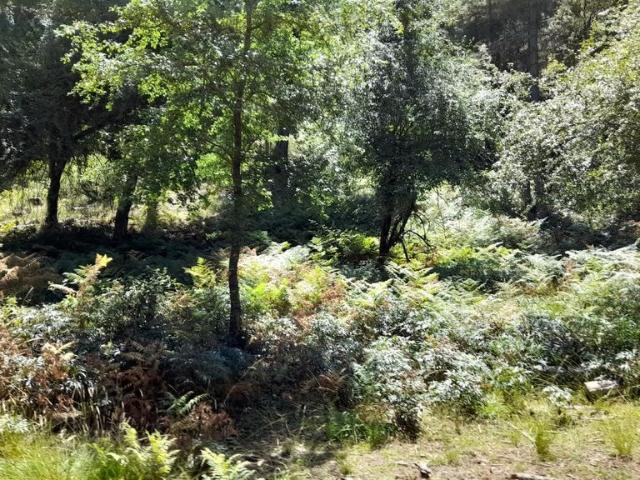 Vivienda exclusiva en venta Siles, Andalucía