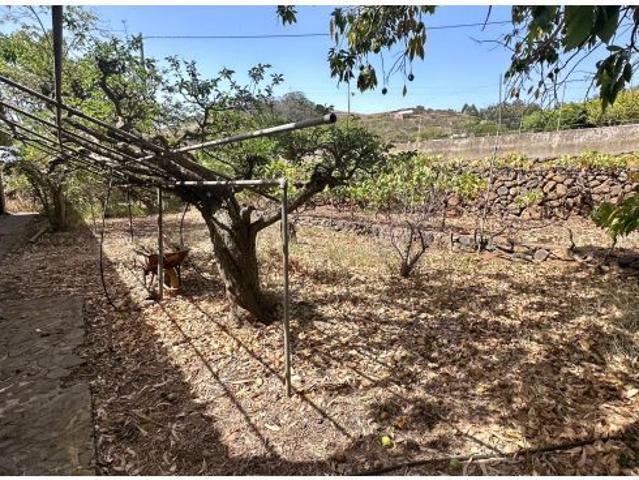 Vivienda independiente de 3 plantas con viñedos, árboles frutales y vistas, entorno natural privile