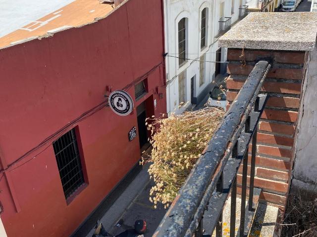 VIVIENDA JUNTO A LA PLAZA DEL CABILDO PARA HACER OBRA NUEVA