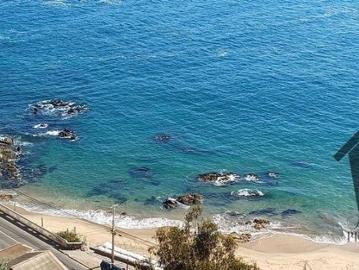 Viña del mar, lapislazuli