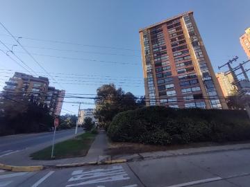 Viña del mar, los sargazos