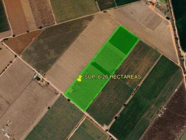 VIÑEDO EN OPERACION EN VENTA, TEQUISQUIAPAN, QRO. EJIDO DE TEQUISQUIAPAN Sup. 6.2 HECTAREAS