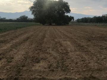 Você Não Precisa Escolher Entre Natureza e Comodidade