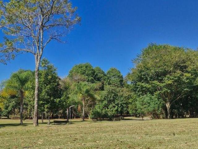 Você Não Precisa Escolher Entre Natureza e Comodidade