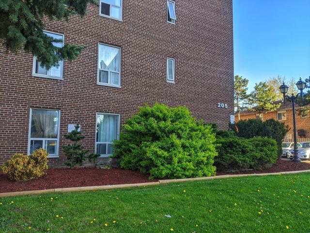 Vodden Apartments 205 Vodden Street East 2 Bedroom Apartment for Rent