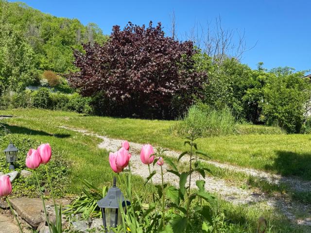 VOIRON, Maison + dépendance et jardin