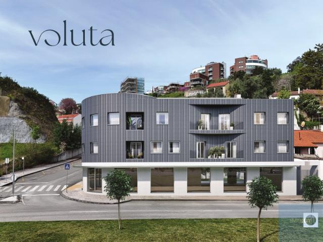 Voluta