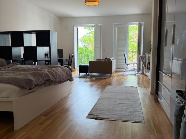 VOLL MÖBLIERTE 1 Zimmer Wohnung in Hamburg Hohenfelde