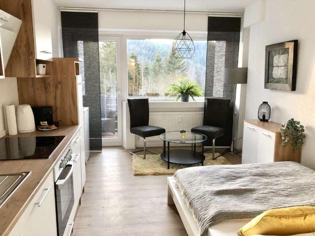 Voll möbliertes 1.Zi. Apartment mit traumhaftem Ausblick I Pauschalmiete