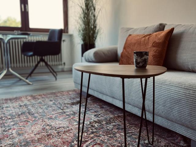 Voll möbliertes Apartment in Mainz | Ideal für Berufstätige & Expats