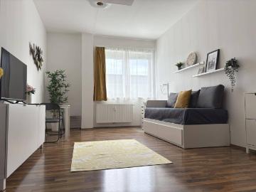 VOLL MÖBLIERTES APPARTEMENT NÄHE KF UNIVERSITÄT UND LKH