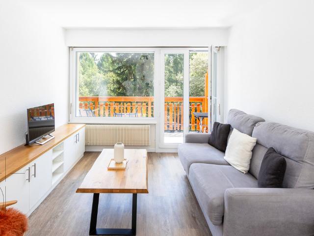 VOLL SÜDLICH AUSGERICHTETES, KOMPLETT RENOVIERTES STUDIO – JÄHRLICH