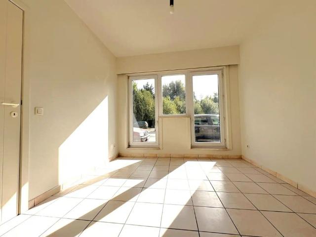 Volledig gerenoveerd gelijkvloers appartement