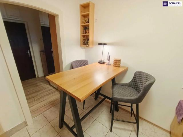 Vollmöbliert, Miete inkl. BK + Heizung! 1 Zimmer Wohnung mit Loggia!