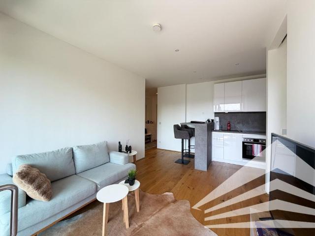 Vollmöblierte Premium Wohnung mit Süd Balkon im „Das Levels“