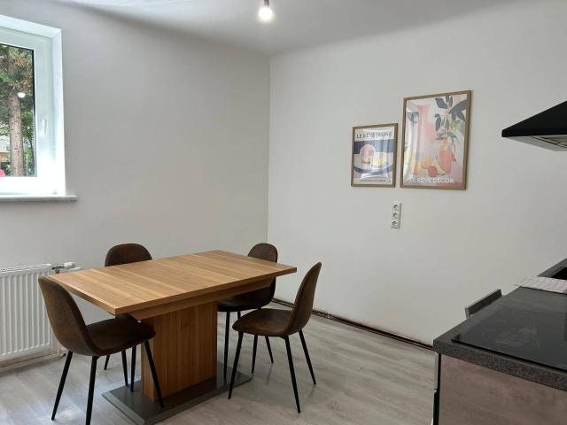 Vollmöblierte/fully furnished 1,5 Zimmer Wohnung mit Parkblick nähe Straßenbahn 67 alles inklusive