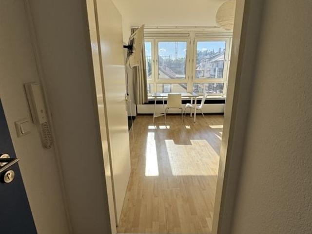 Vollmöbliertes 1 Zimmerapartment in Mann.