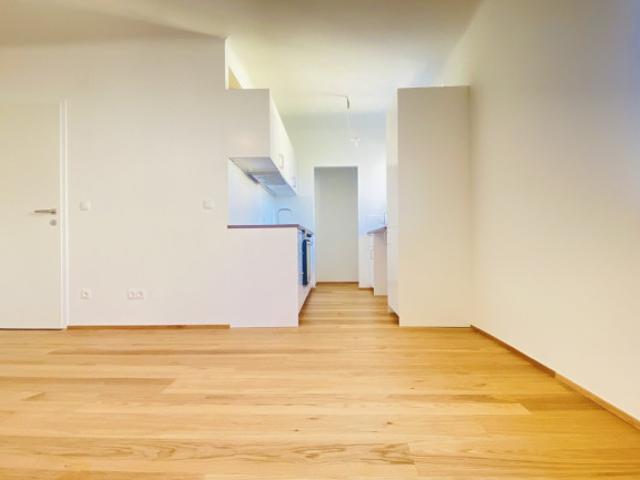 Vollsaniert in Krems: 3 Zimmer Wohnung nahe Uni und Altstadt