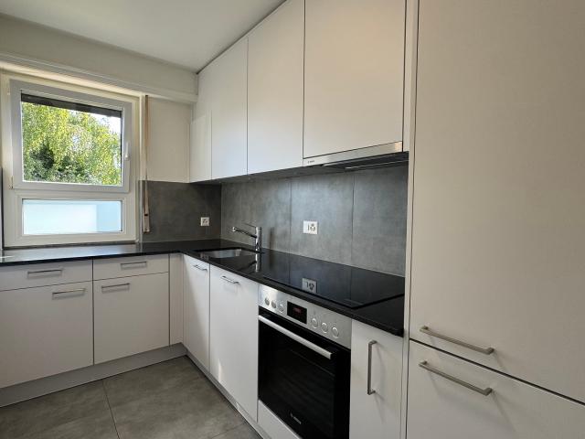 Vollständig renovierte 2 Zimmer Wohnung auf den Höhen von Vevey