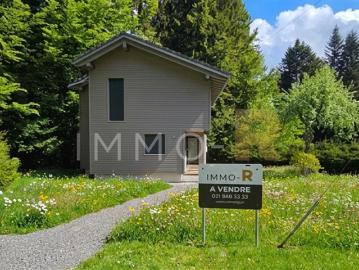 5,5 Zimmer Chalet, komplett renoviert, ruhig gelegen, zwischen Wald und Wiesen