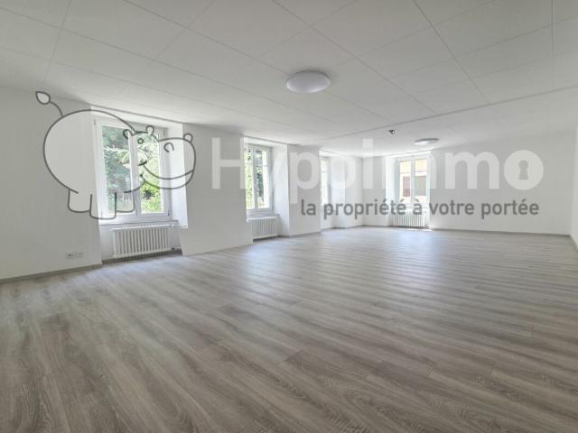 Vollständig renoviertes Apartment oder Geschäftslokal