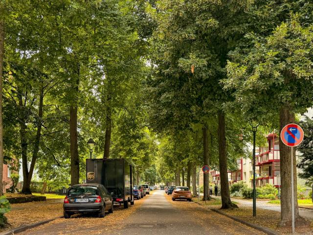 Vollvermietetes Mehrfamilienhaus mit Fernwärme auf dem Kaßberg