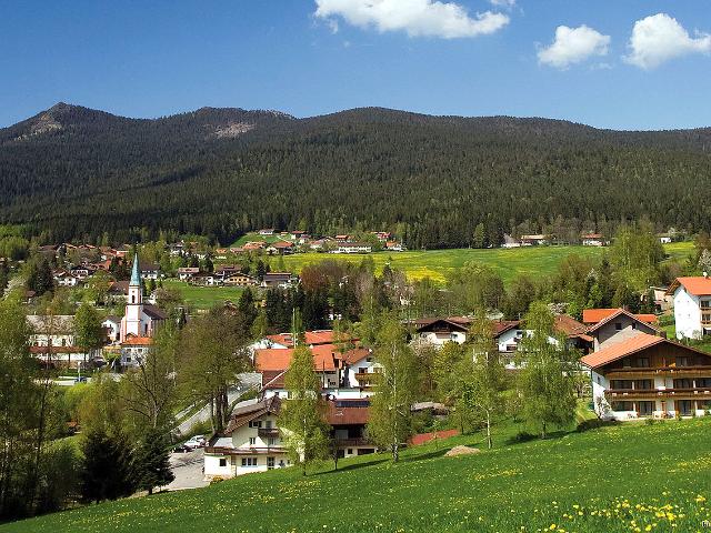 Vorankündigung * Gemütliches 1 Zimmer Apartment im Herzen des Lamer Winkel Arberland
