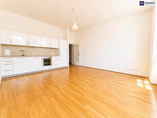 Vorsicht: Diese 37 m² fühlen sich überraschend groß an – jetzt besichtigen!