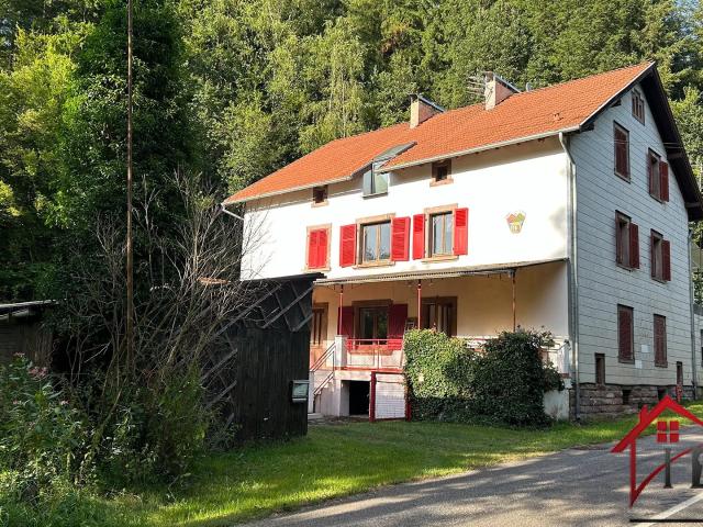 Vosges Du Nord Atypique Immeuble 292 m2 12 Pièces 292m² La petite pierre