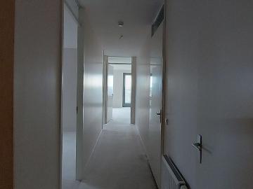 Vossenzoom 160