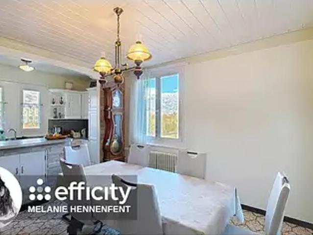 Vougy 74130 Achat / Vente appartement 4 pièces t4 jardin terrasse