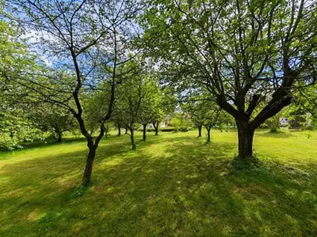 Vouneuil sur Vienne 86210 Achat / Vente maison 3 pièces t3 jardin terrasse