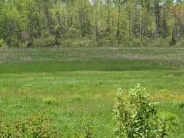 Vl North Wallace Road, North Wallace, NS, B0K 1L0 vacant lan.