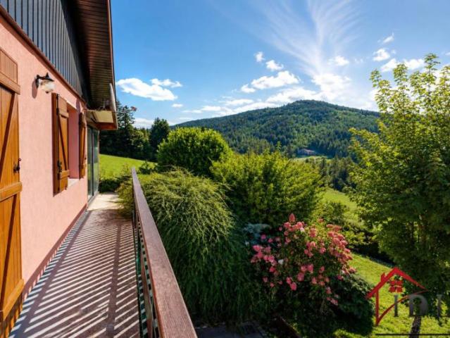 Vue, calme et soleil à 5 min de Gérardmer Une maison pour
