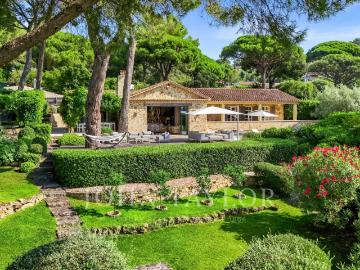 83350, Ramatuelle, Var, Provence-Alpes-Côte dAzur