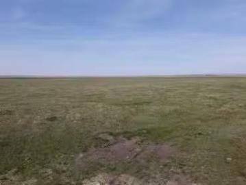 Vulcan County, Rural Vulcan County, AB, T0L 2B0 vacant land.