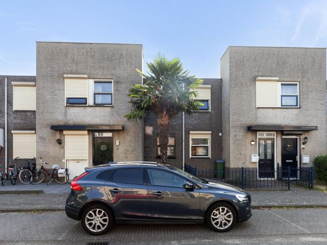 Vuurvlinder, Breda