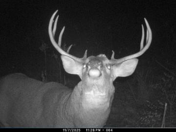 W16091 Dewey Rd