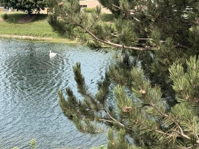 W173N5537 Ravenwood Dr, Unit 5537