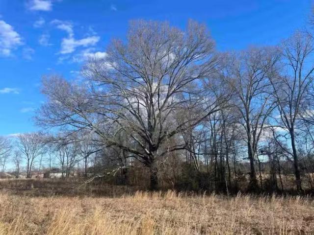 w EATHERWOOD, GREENBRIER, AR 72058