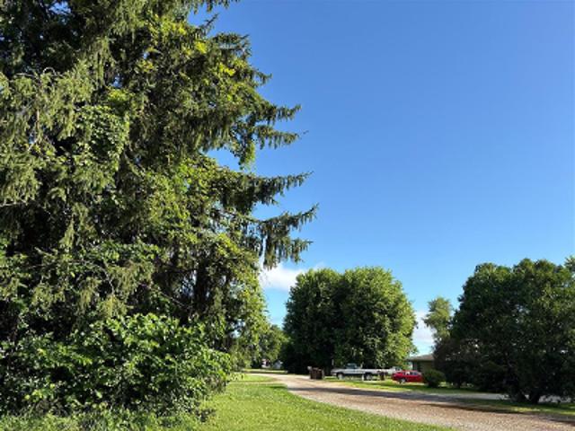 W Tuberosa Dr