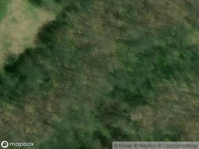 W Walton Cir