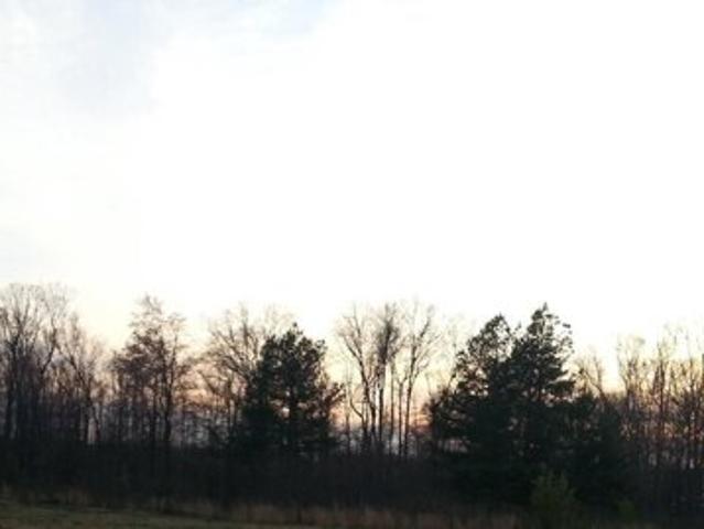 Wampler Rd, Middle River, Plot For Sale