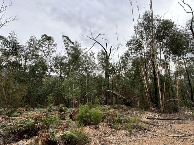 Wandella Creek Bush Retreat