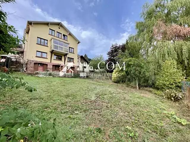 Wangenbourg Engenthal 67710 Achat / Vente maison 8 pièces t8 jardin terrasse